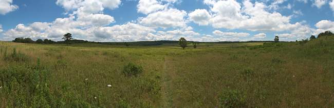 Big Meadows (2460ft, E)