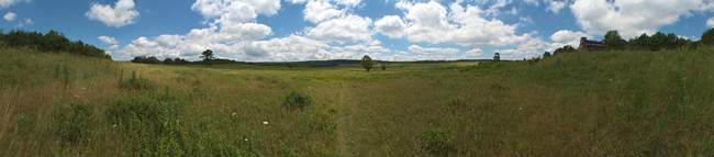 Big Meadows (2460ft, E)