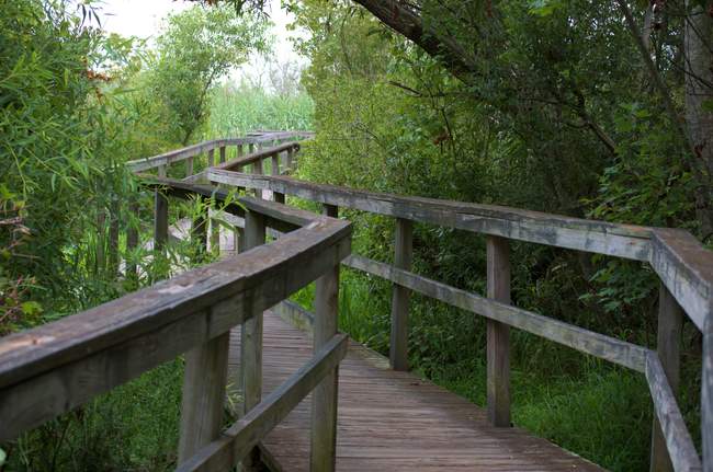 The walkway out to the pier behind the lighthouse