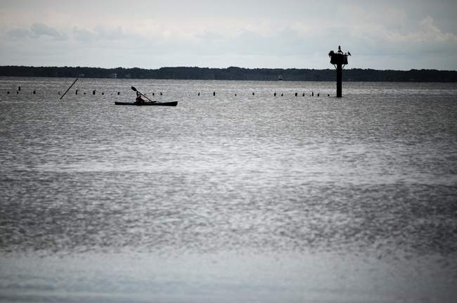 Kayaker on the sound