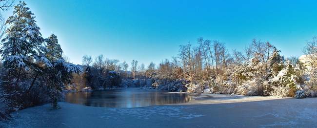 The drainage area at the rear of the complex