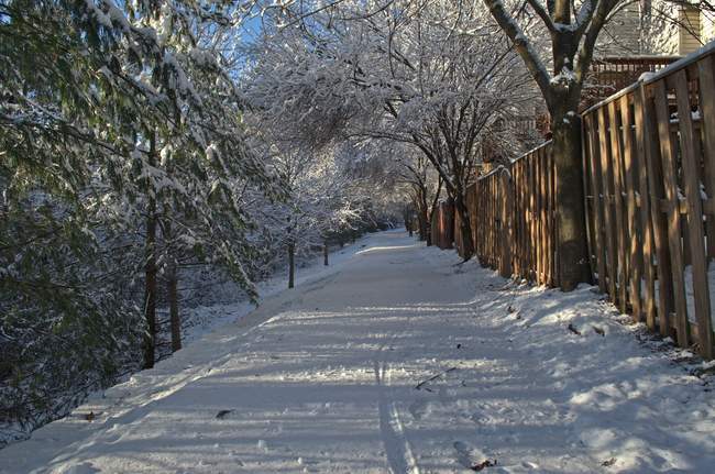 Looks like one brave soul biked through this