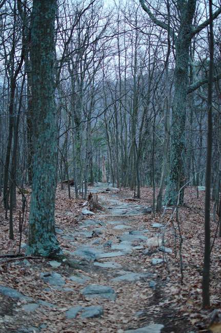 The trail down to the cliffs