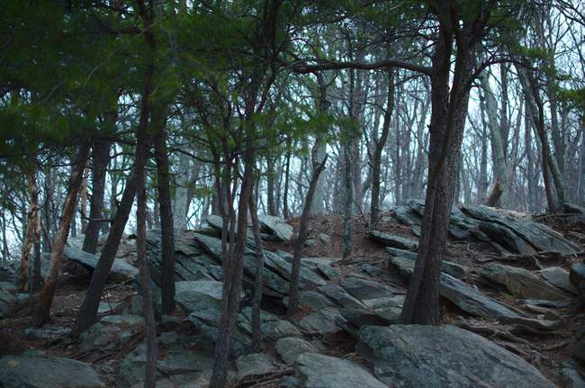 Time to head back...