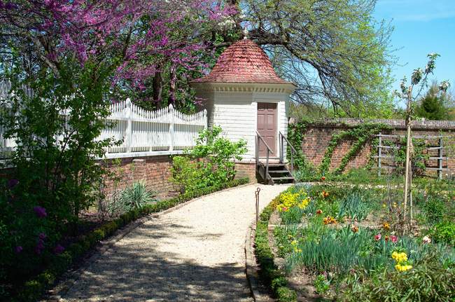 Utility shed in the garden.