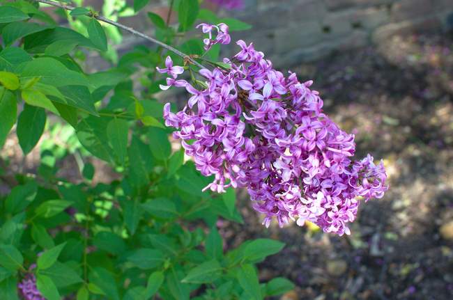 Such beautiful colors!