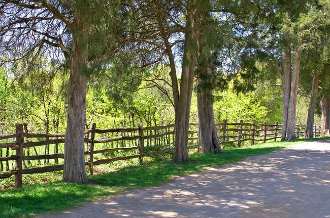 East of the house, heading towards the crops and cattle.