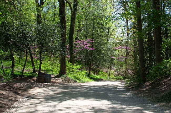 On the way to his tomb.