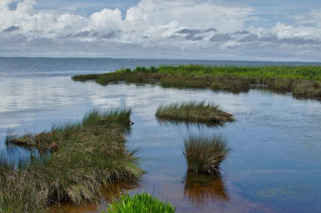More from the boardwalk.