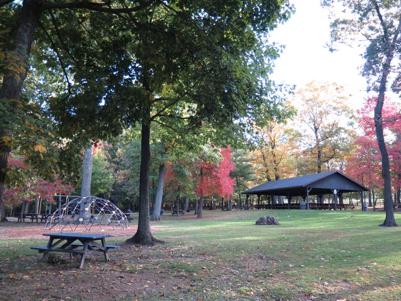 The leaves are changing all around