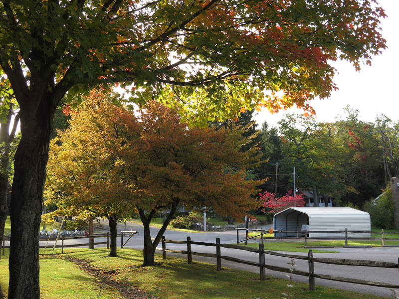 Beautiful light as we leave the park
