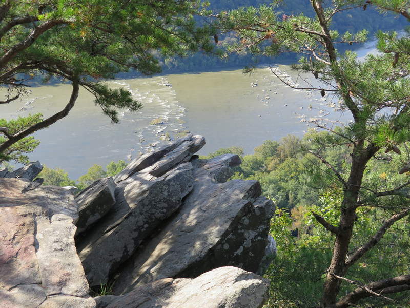 The water is a bit high from all the rain