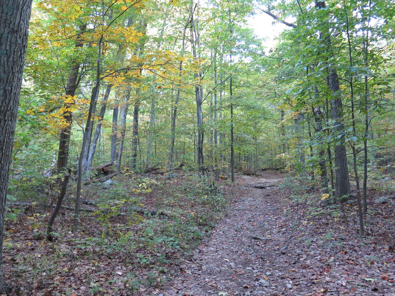 The trail heading out of Rocky Run