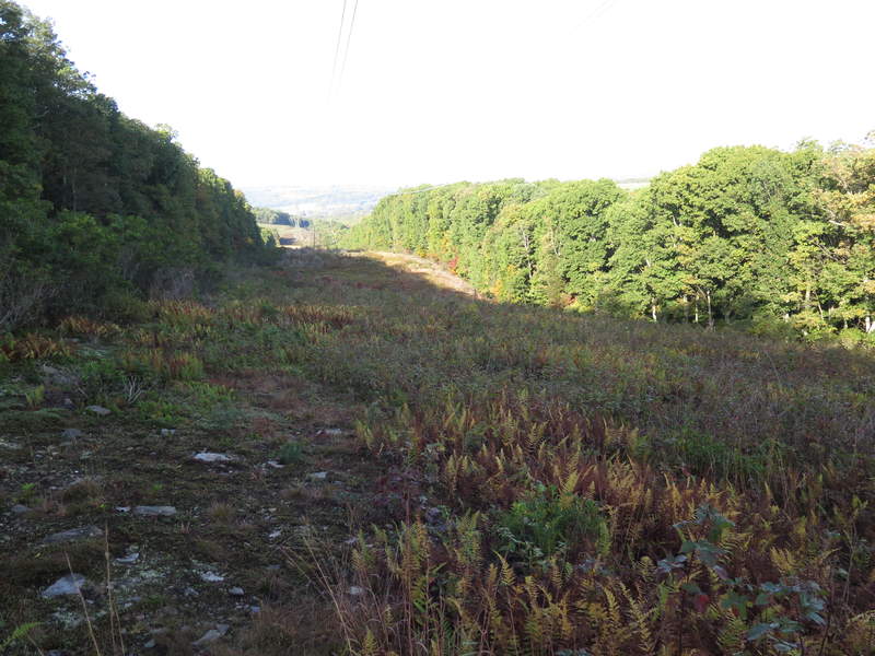 Power line cut on the way out