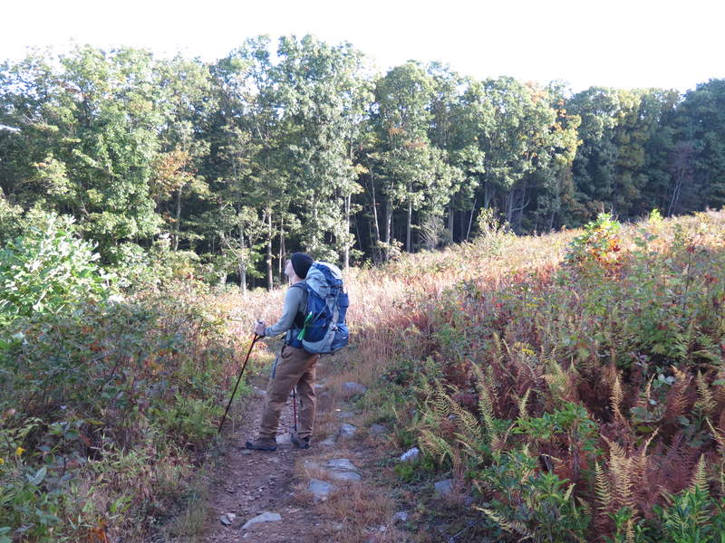 Jerry taking a gander