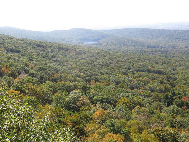 The view from Annapolis Rock
