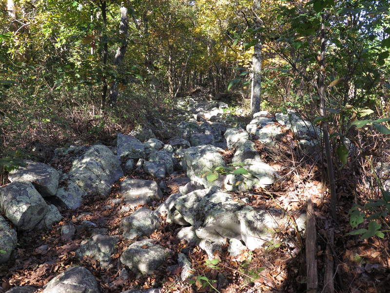 Maryland is a sole-crusher. There are many sections just like this.