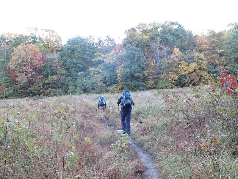 We cross the powerline cut