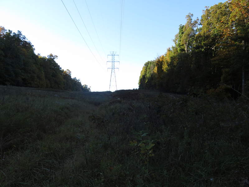 Looking uphill at the sun's rays