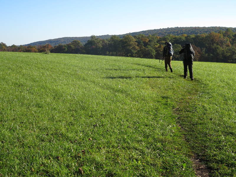 A gorgeous open field