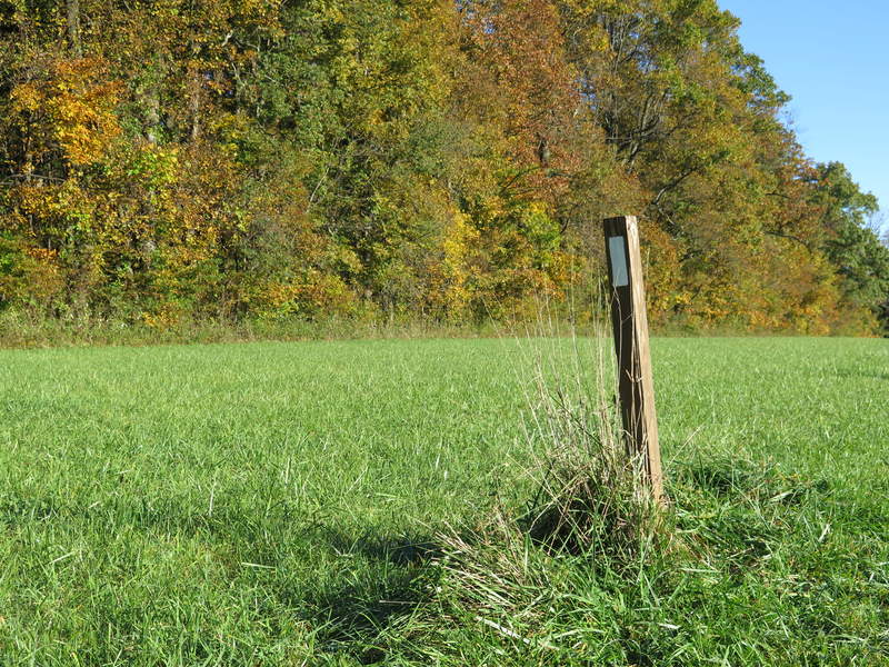 Yep, we're heading in the right direction