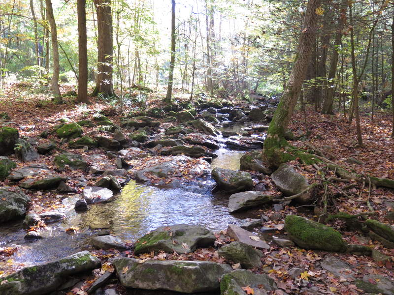 Warner Gap Hollow Stream