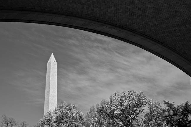 The Washington monument greets us as we head towards the Tidal Basin.