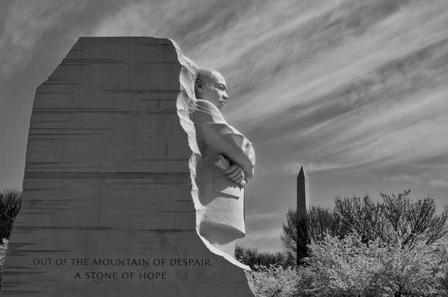 MLK surveys the landscape of the Tidal Basin during peak cherry blossom bloom.