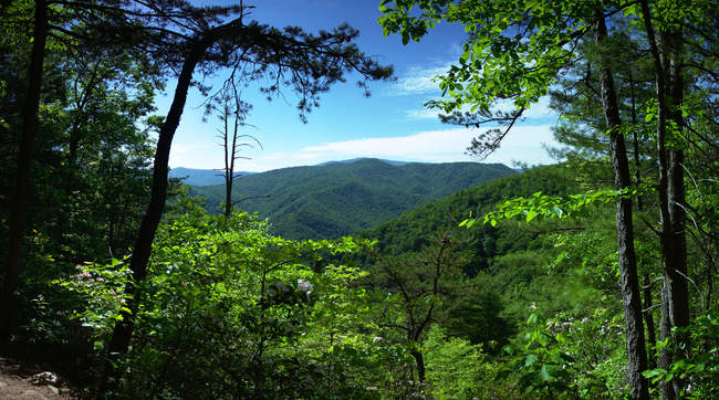 Our first overlook after some hard climbing
