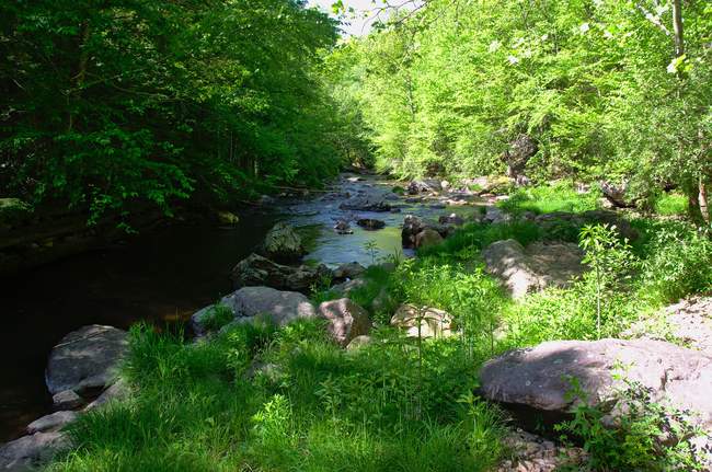 While waiting for the others to show up, w sites of Whitetop Laurel Creek