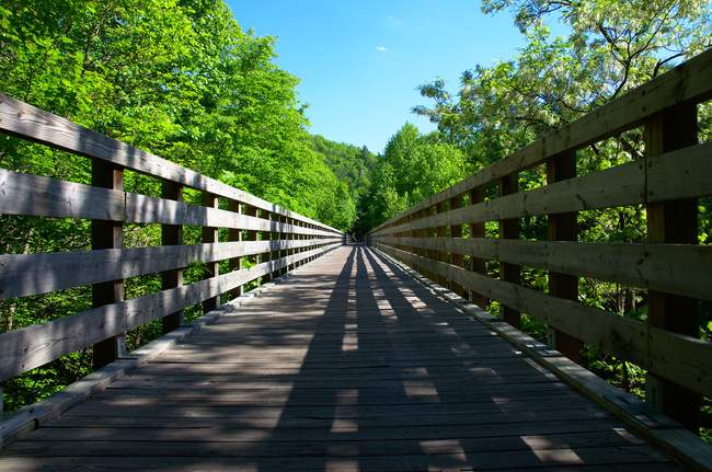 Another trestle along the Virginia Creeper Trail