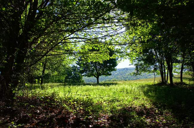 A beautiful morning greets us on the AT