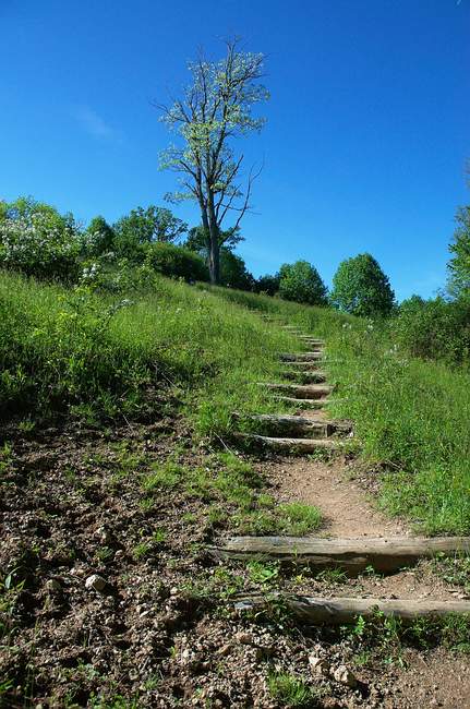 Fields are nice, but steps grind your legs into tiny bits
