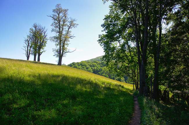 The best point of view: from the shade!