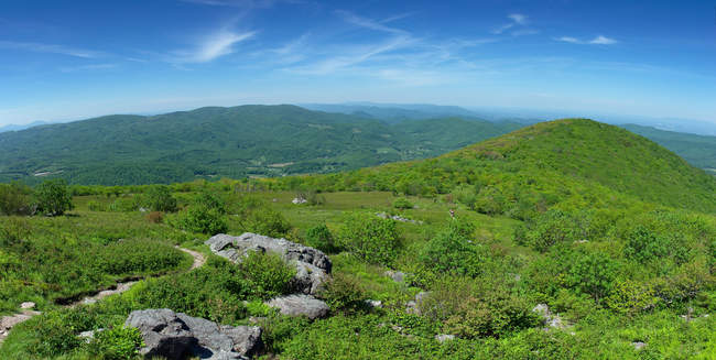 The path up to Buzzard Rock