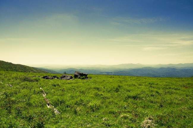 A stylized scene from near Buzzard Rock