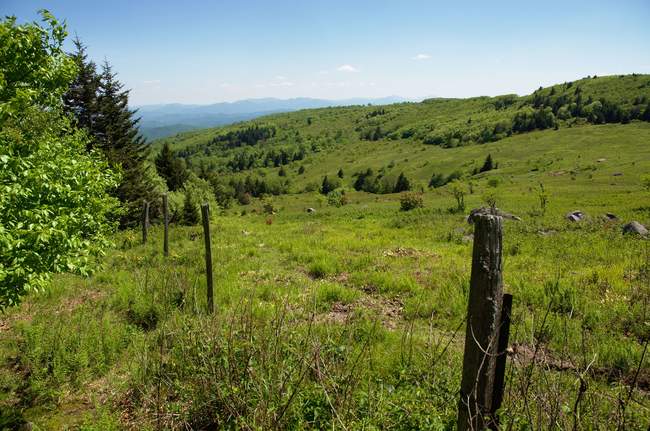 We come out of the tree cover to this expansive scene near Thomas Knob Shelter