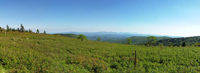 We're finally there! With battered soles, this is the only shot I took of the Thomas Knob area.