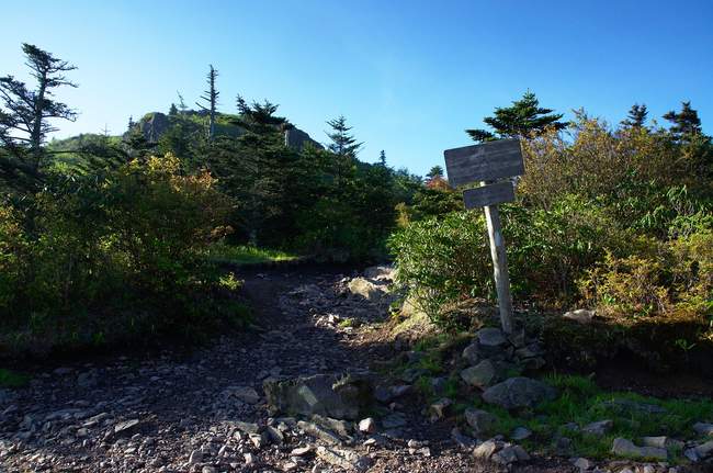 Making our ascent (again)