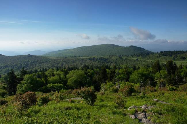 You can see the worn path we're about to take