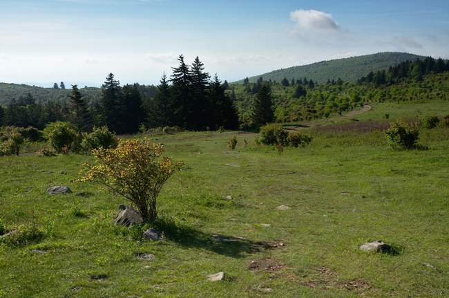 The path leading to the scales spur, where our heart rates skyrocketed one last time