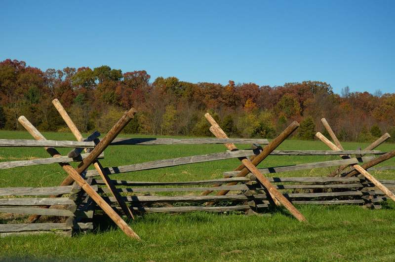 Fence posts in the fall