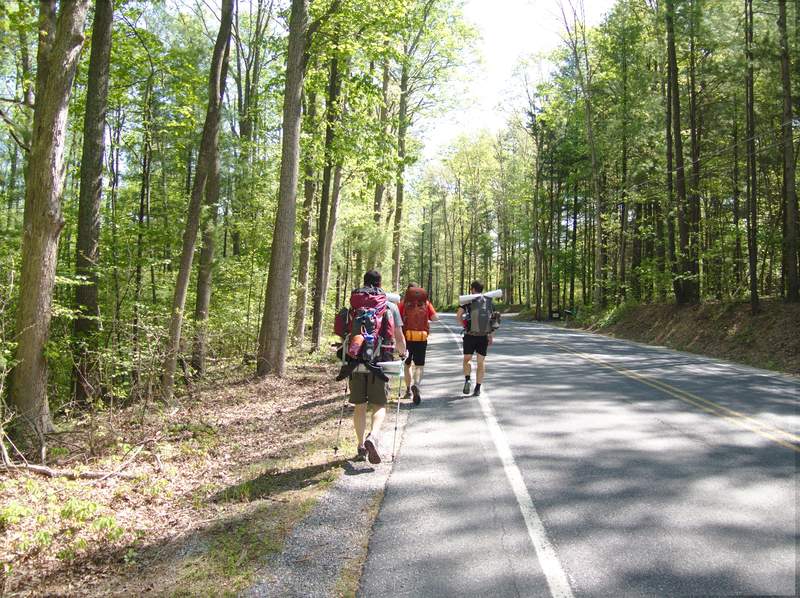 We set off down Pine Grove