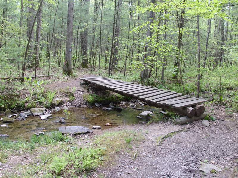 One of the many foot bridges