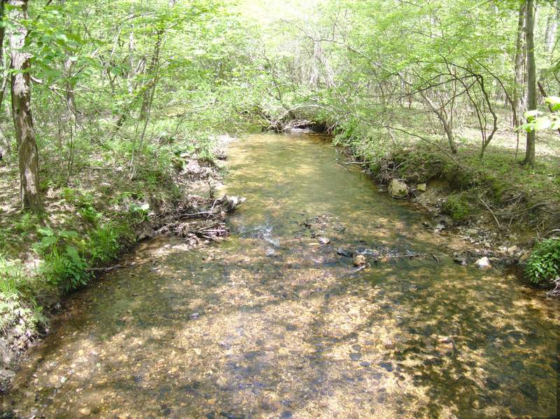 The streams were flowing strong after the rain