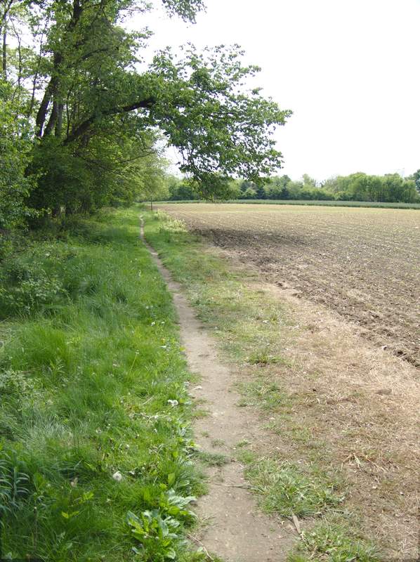 It will be straight and flat for about 13 miles from here