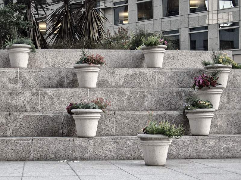 Tons of plants I hadn't noticed before