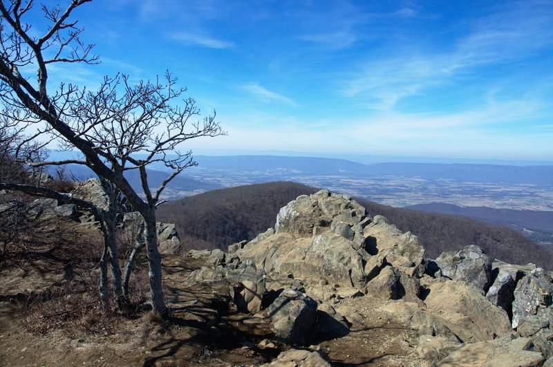 Looking out from Byrd's Nest 2