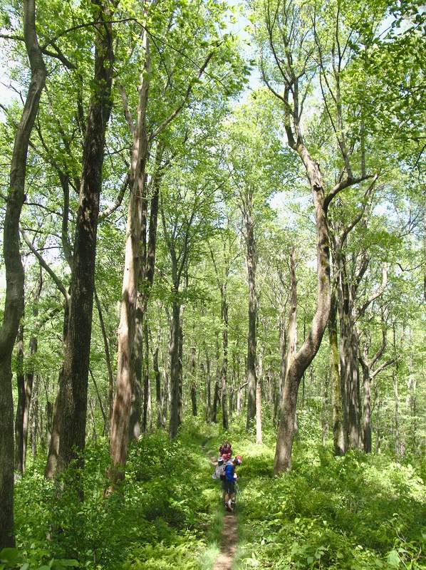 Surrounded by greenery