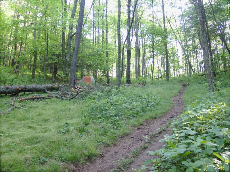 The trail leading out of Double Springs